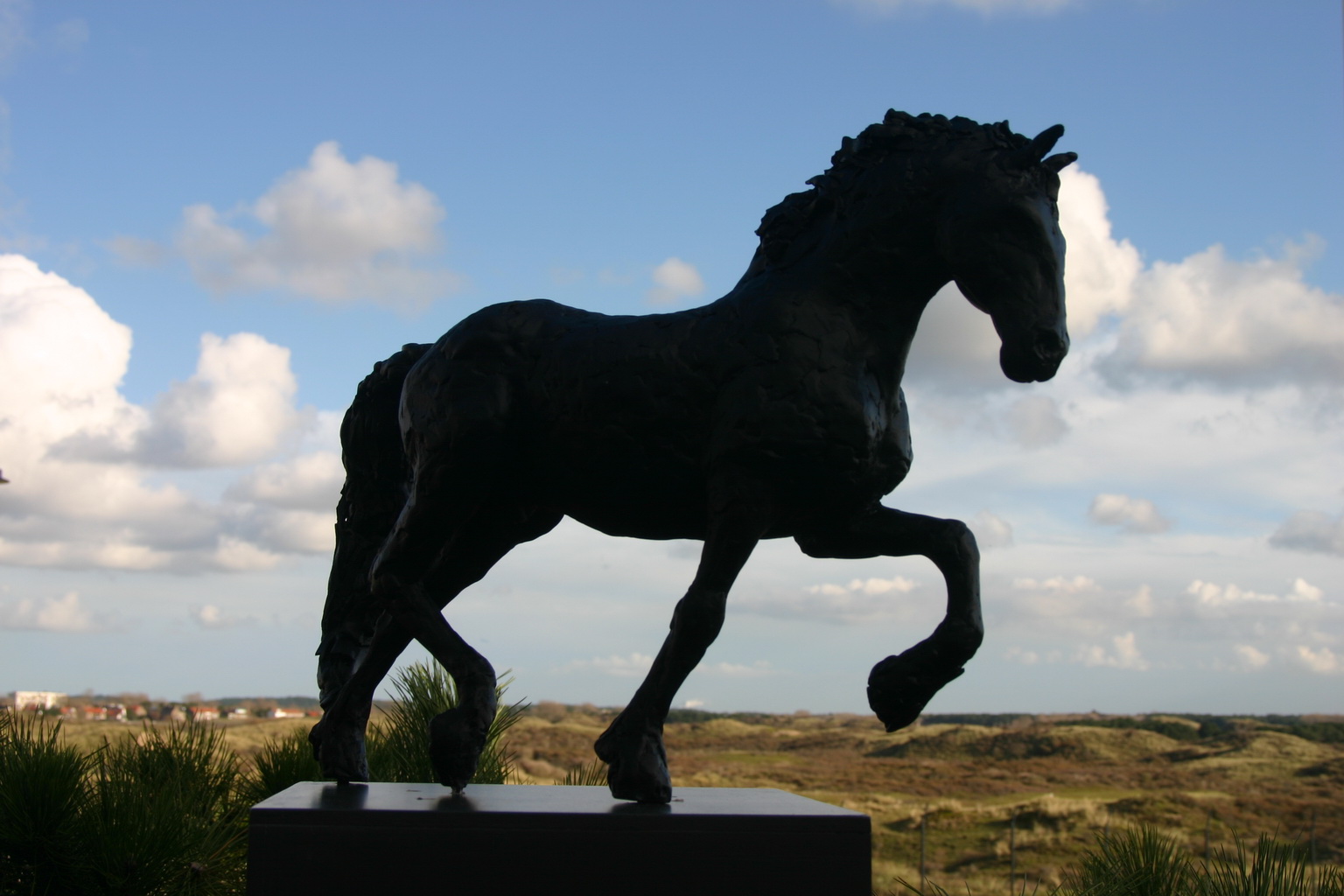 Fries Paard 07 - kopie_resize