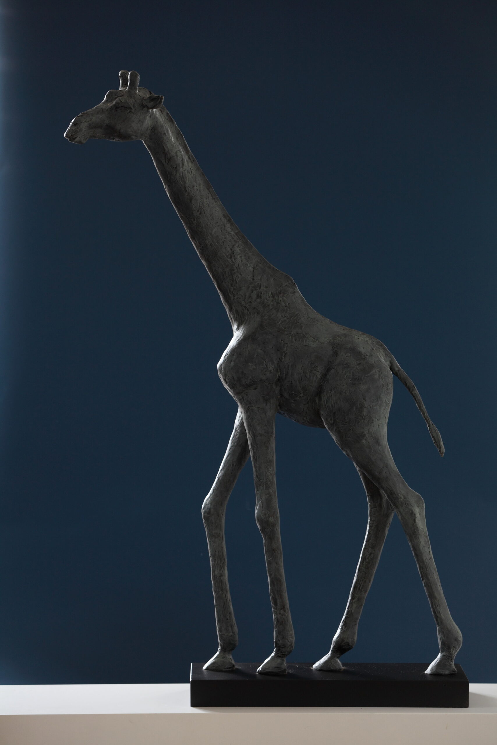 Giraf 2 gr_resize