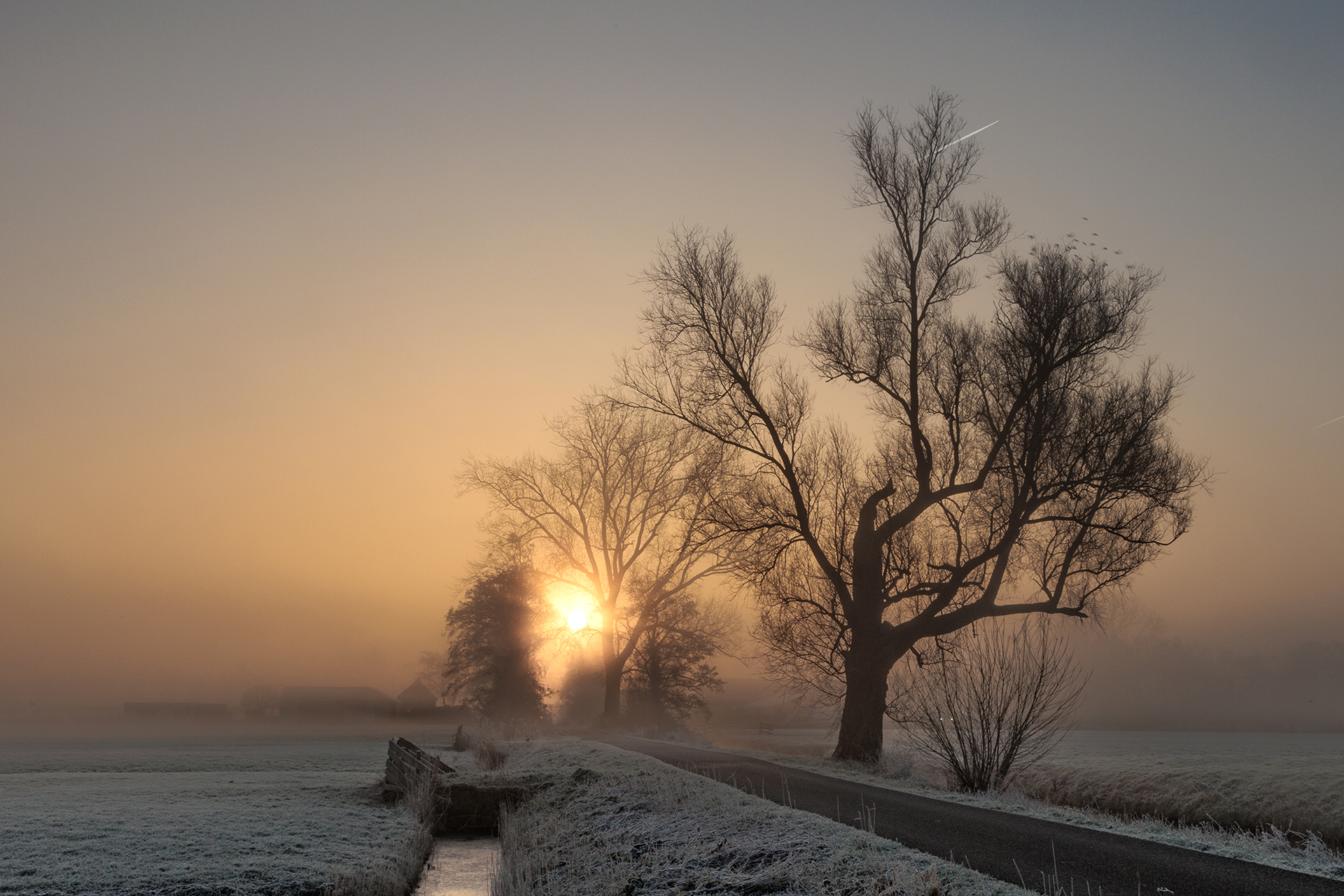 landschap