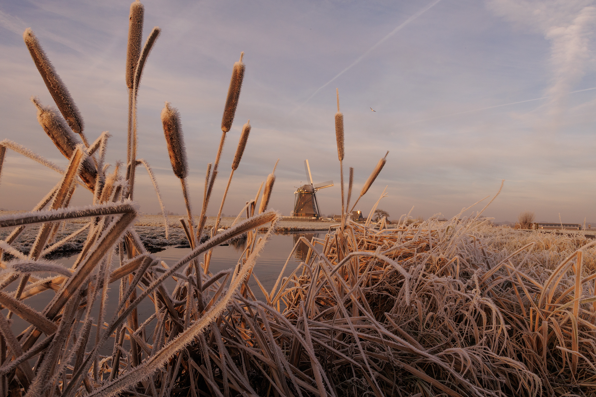 molen in de winter 2