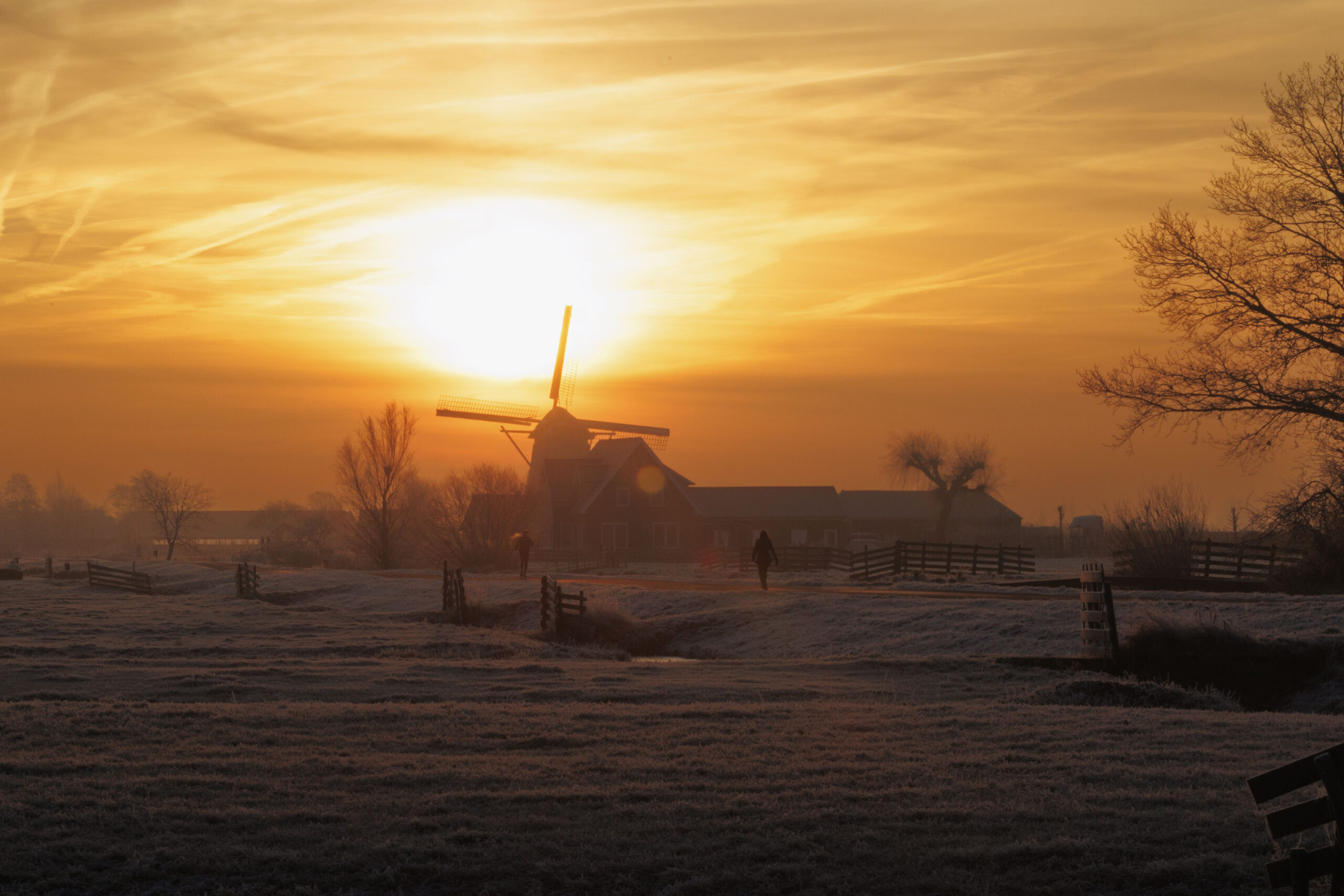 molen in de winter