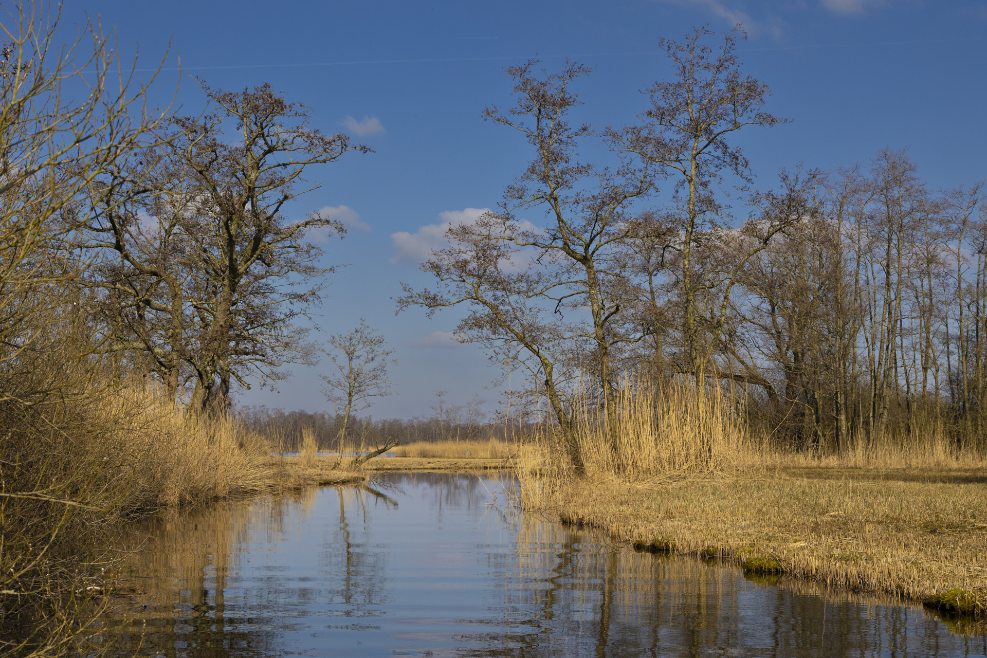 nieuwkoopse plassen